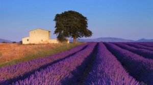 ФРАНЦИЯ Захватывающие живописные города и природа Франции с романтической французской музыкой