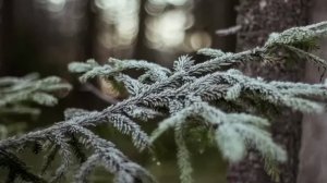 ЛЮДИ ГОВОРЯТ. РИТУАЛЫ РАБОТАЮТ. ВЕДЬМИНА ИЗБА. ️ ИНГА ХОСРОЕВА.