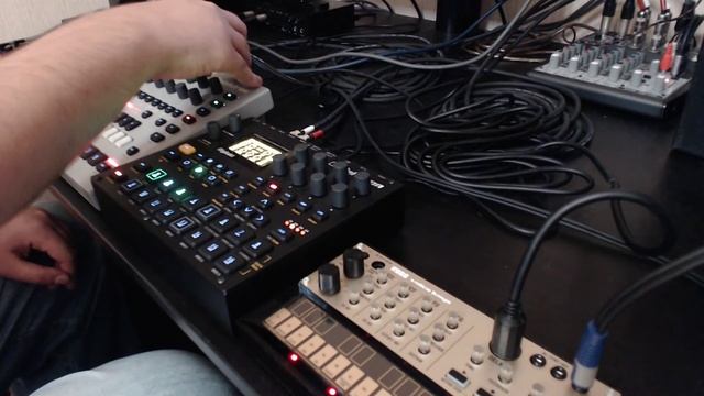 Synthetic Peals - Seacoast