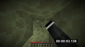 Minecraft Java 1.16.5 Speedrun WR