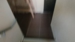 лифт щлз экомакс 2019