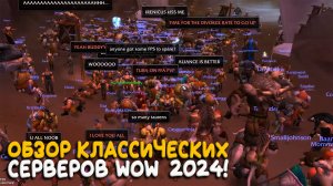 Обзор серверов World of Warcraft Classic 2024