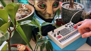 LO FI HIP HOP CHILL // Korg Volca Sample Jam. Бит на сэмплере