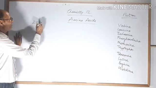 Amino Acids ( Proteins) смотреть онлайн