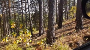 MTS на прадо, небольшая проверка