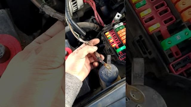 Mustang se apaga aveces no enciende aveces si problema con las luces se apagan y se encienden смотреть онлайн