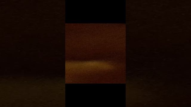 1000016325.mp4