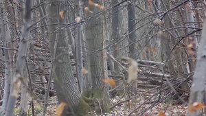 Silverback MDR & Tac-41p Kill cam footage from Tower Airsoft