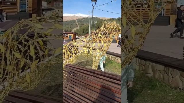 Архыз, Романтик #shortvideo #vlog #путешествия #отдых #горы #архыз