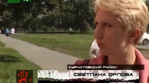 Ради котенка магазин разобрали по частям