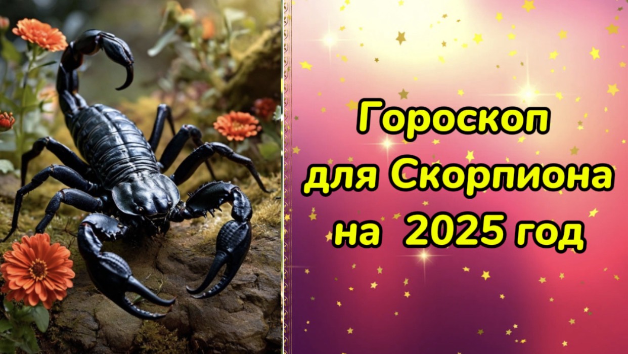 Гороскоп для Скорпиона на 2025 год. Гороскоп на 2025 год. Гороскоп для Скорпиона в год Змеи.