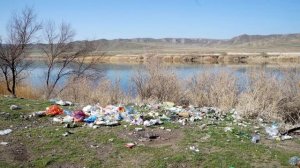 Экоплакат Панова Дарья го Солнечногорск