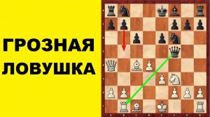 Шахматы. Отказанный Ферзевый Гамбит. Ловушка в дебюте. Школа шахмат d4-d5.