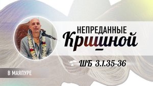 2024-12-20 — "Непреданные Кришной" ШБ 3.1.35-36 в Маяпуре
