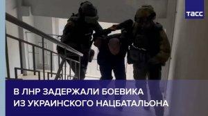 В ЛНР задержали боевика из украинского нацбатальона