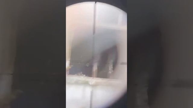 Пневматика плинк #Shorts смотреть онлайн