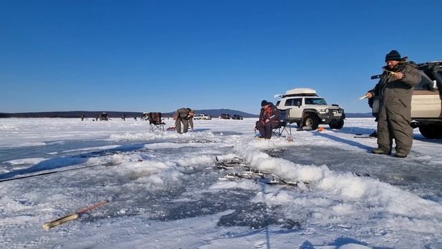 Джаорэ ! 18.03.2024.