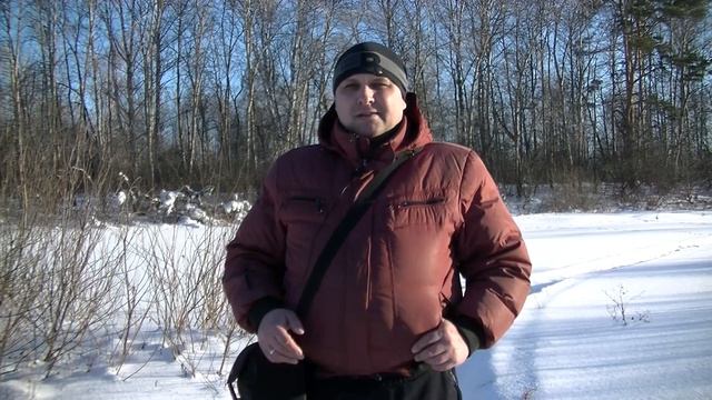 Охотничьи собаки #1. Охота с собаками. Русский охотничий спаниель. Hunting in Russia