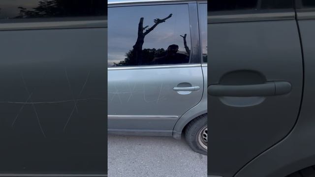 Острожно!!! Варвары!!! Испортили Passat B5+ #passat #volkswagen смотреть онлайн