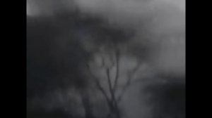 Дневник немца, когда уже отступали, но еще ничего не поняли | Письма с фронта