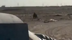 Ошибка сапера