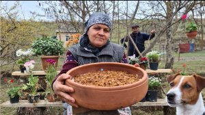 Готовим Лазанью на Костре