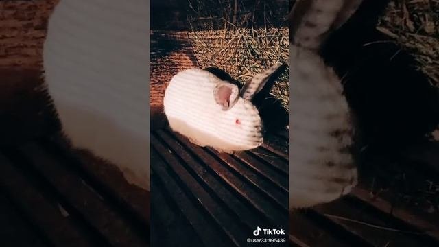 Выкладываем из дп