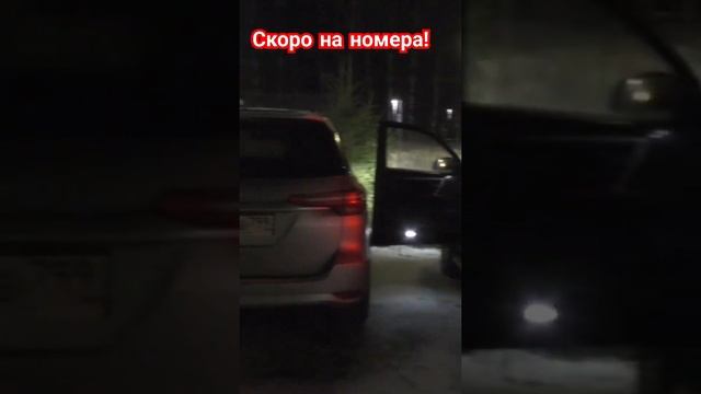 4 ноября 2024 г.