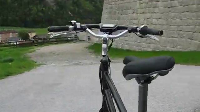 Pedelec: Victoria "EAGLE" mit Nabenmotorantrieb "TranzX" - Kurztest