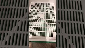 Что нужно перед тем как завести котёнка. Здесь есть всё!!