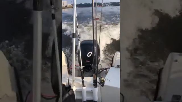 ryds 435 fc Bremen Weser смотреть онлайн