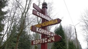 19 тысяч юных смолян побывали в детских оздоровительных лагерях в 2024 году