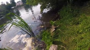 Подмосковные СОМЫ НА ВЕРТУШКУ
