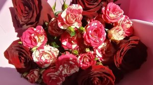 Наше небольшое путешествие. День города. День рождения.