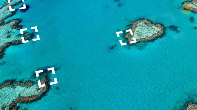 Подводная лодка исчезла после столкновения с таинственными объектами в Антарктике. Расследование