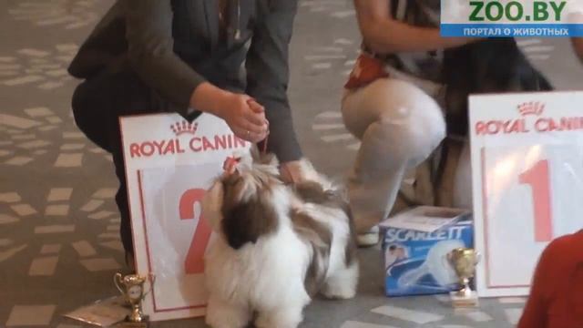 Лучший беби смотреть онлайн