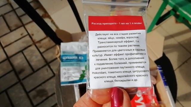 Комнатные цветы нагулялись за лето и переезжают на пмж. ОБРАБОТКА️️