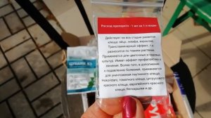 Комнатные цветы нагулялись за лето и переезжают на пмж. ОБРАБОТКА️️
