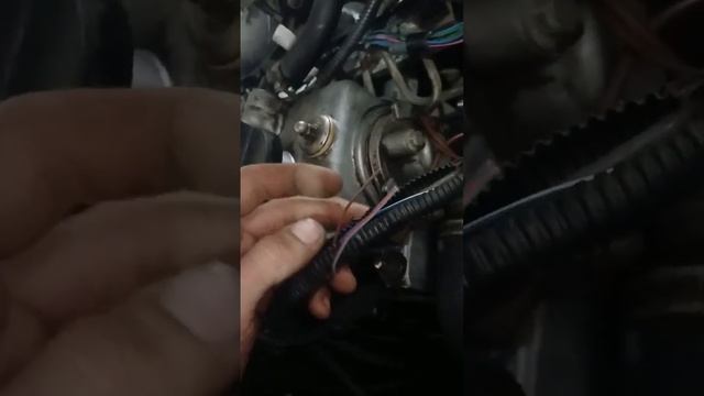 как разводит людей автоэлектрик на 30 тысяч