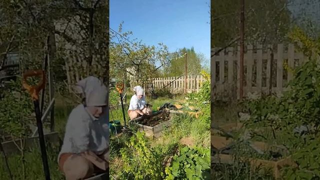 Садовый рынок/новые растения/как всё успеть? Ч.1