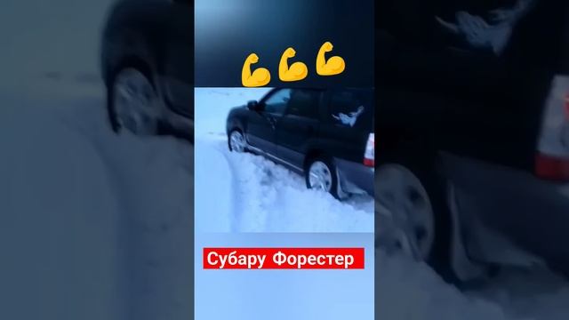 Субару Форестер! #subaru