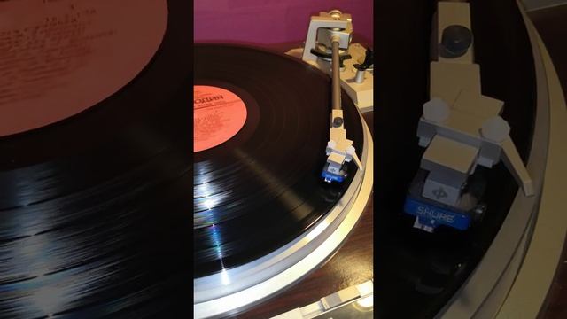 Поучительная песня ☝🏼😉 Детский хор - Не дразните собак! #хор #vinyl #детскийхор #дети