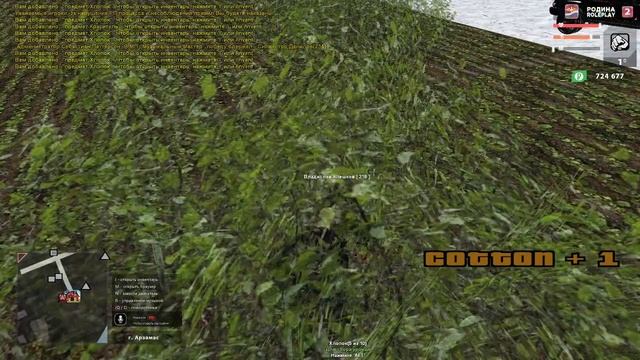 СТРИМ ПО РОДИЕ / РОДИНА ПР  /  ФАНИМСЯ НА РОДИНЕ смотреть онлайн