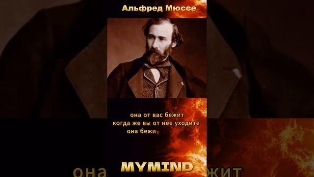 Цитата : Женщина Ваша Тень  #цитаты #мудрость #мудрыеслова #философы