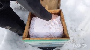 Первый очистительный облет пчел весной.