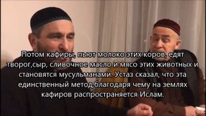 Сказка от "Хьажи мюрида" #суфии #Ингушетия