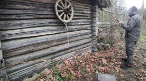 Как сохранить кусты винограда до весны