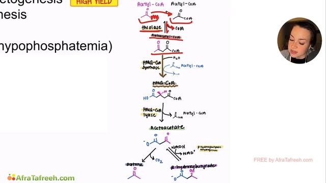 Ketones Ketone Synthesis atf