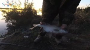 Рыбалка на реке ДОН: октябрьские огромные ЛЕЩИ!!!