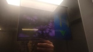 лифты Мослифт стриж с музыкой 2020